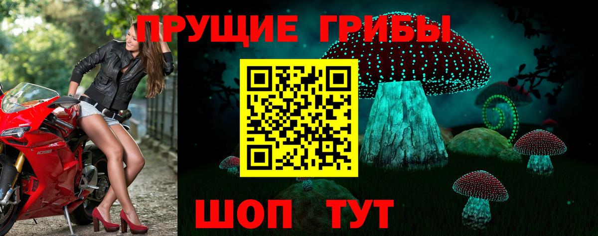 Псилоцибиновые грибы мухоморы Мурманск
