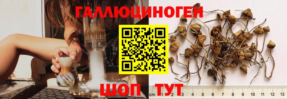 Мурманск  Галлюциногенные грибы прущие грибы  Псилоцибиновые грибы Psilocybe  Вход с VPN 